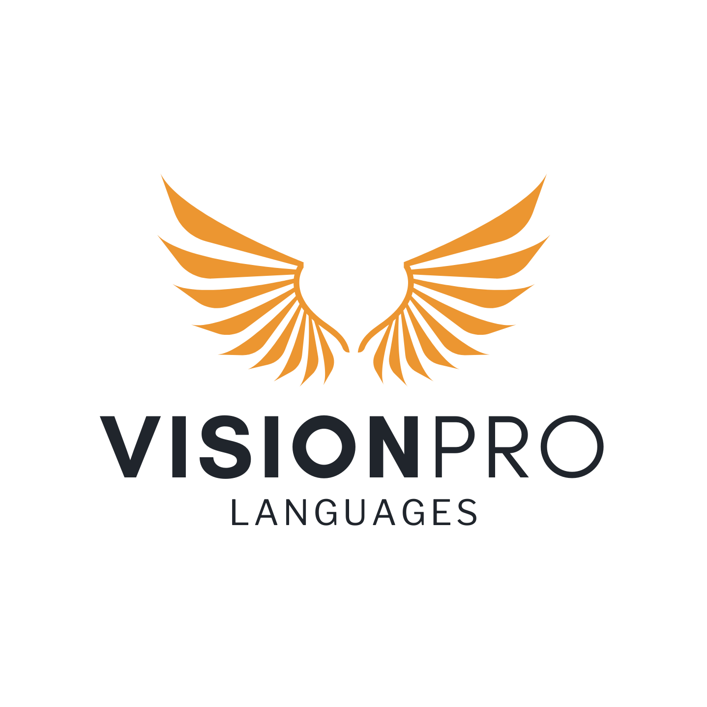 visionpro - escola de espanhol e ingles online executivos